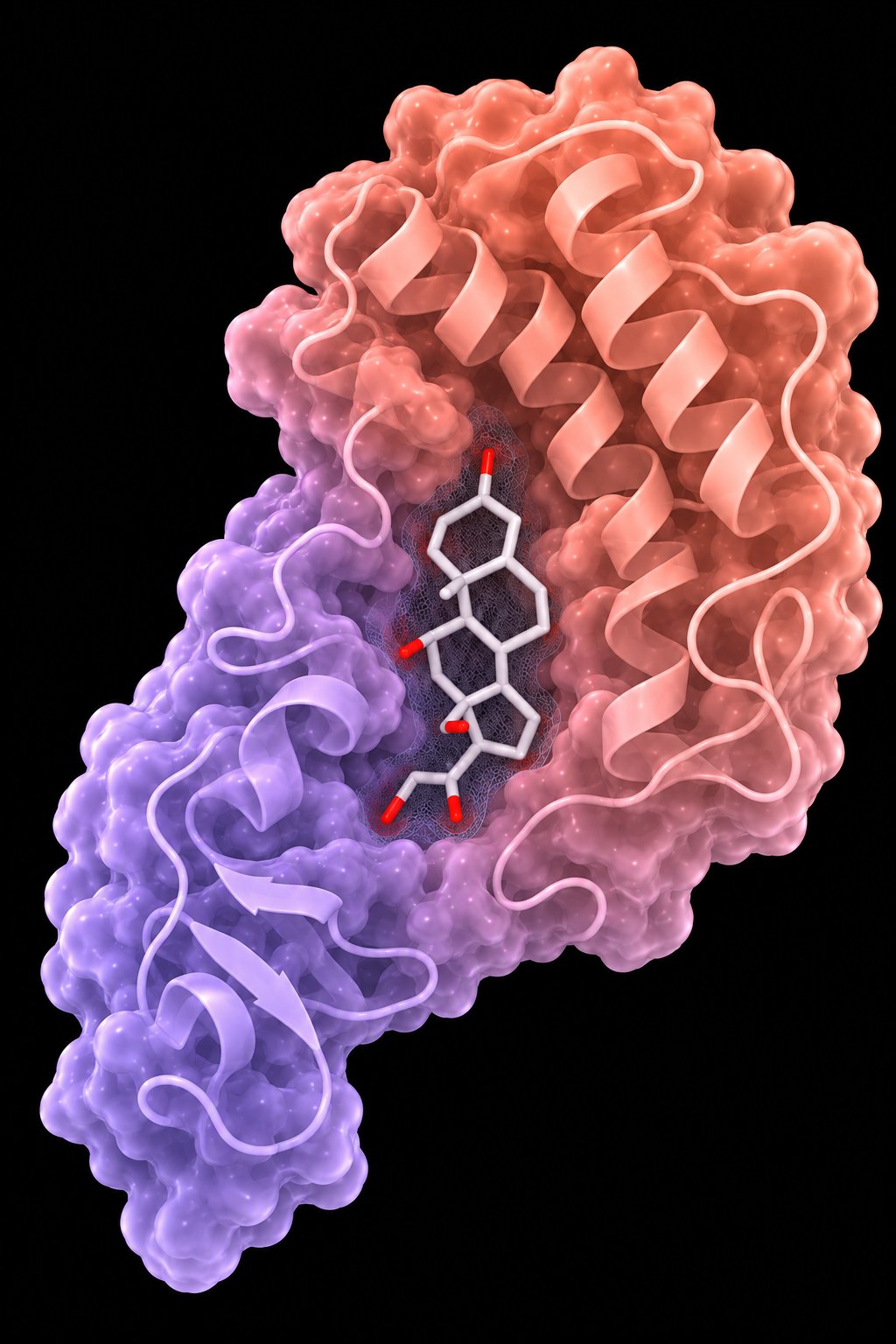 Aldosterone bound in a protein pocket