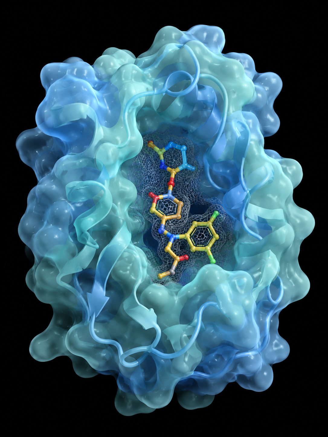 Molecular rendering of the isocitrate lyase active site
