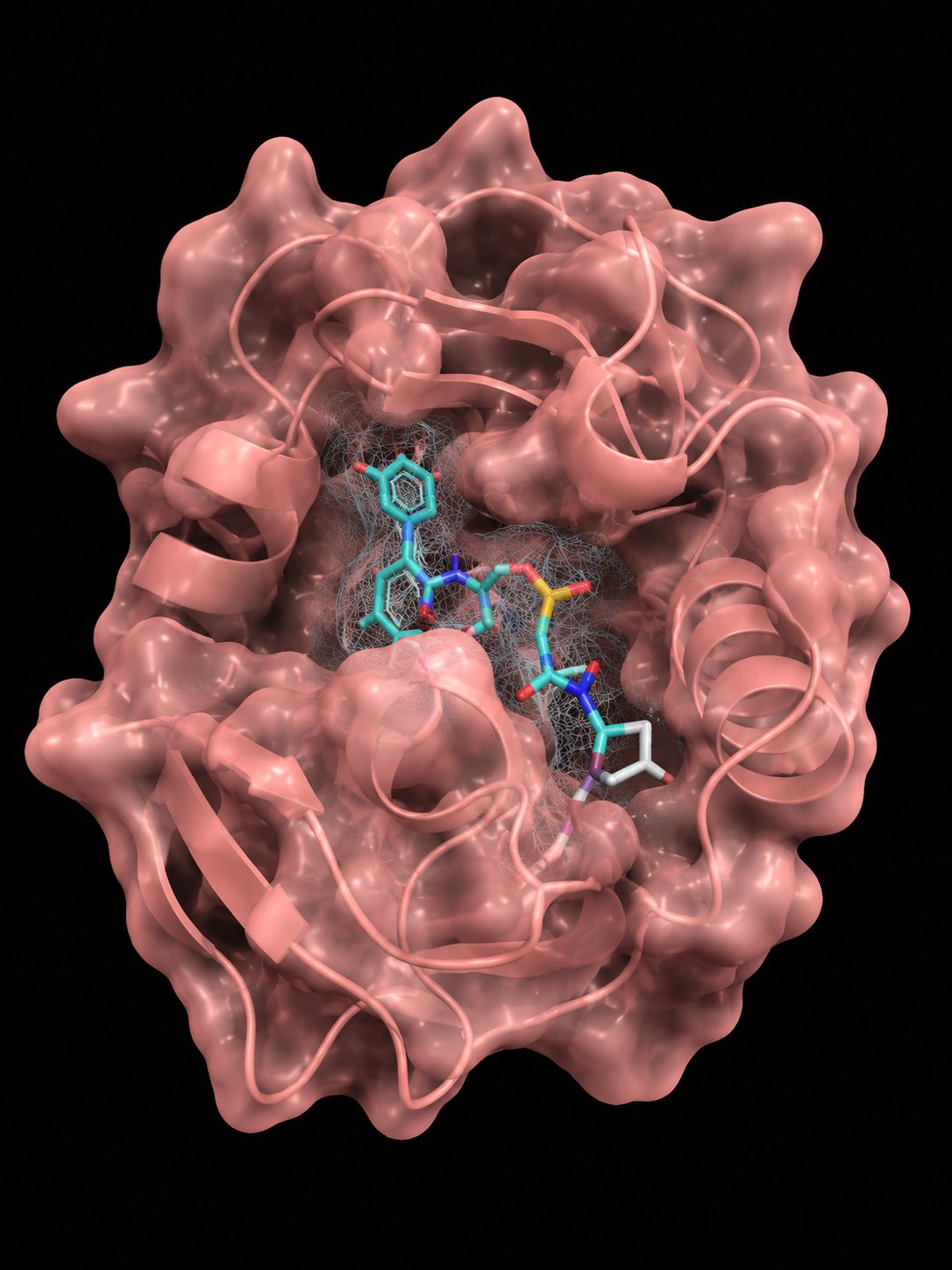 Molecular rendering of an itaconate-binding pocket in a FRET sensor