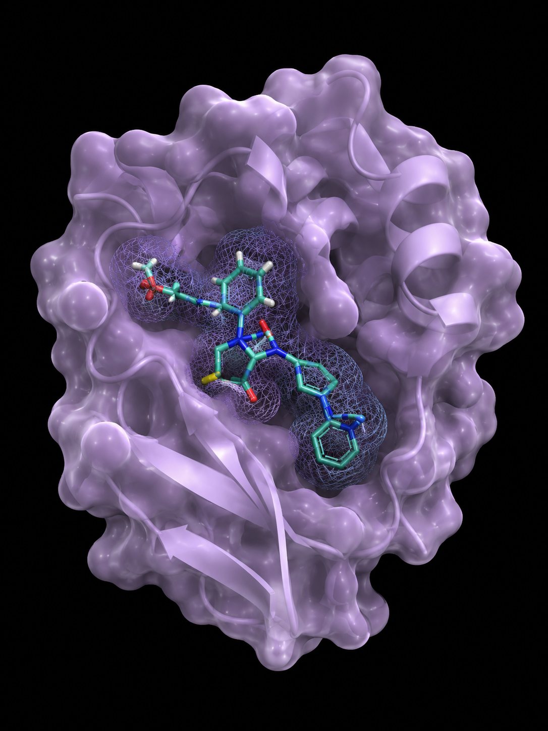 Molecular rendering of an orotate binding pocket in a FRET sensor
