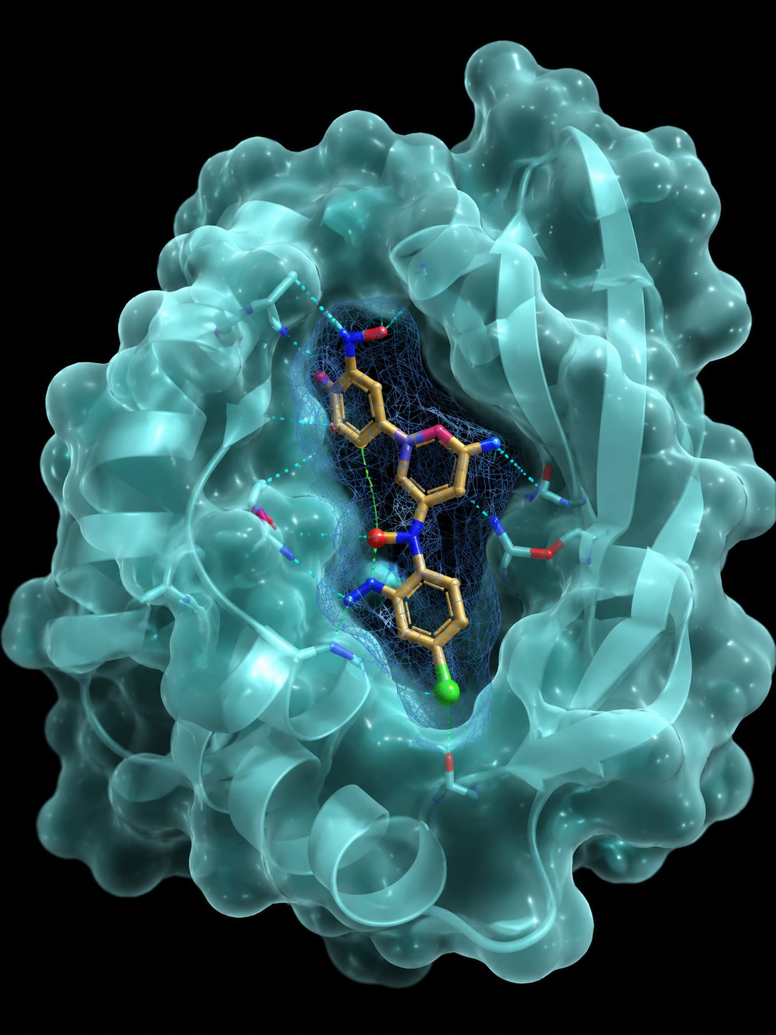 Molecular rendering of a kynurenic acid binding pocket in a FRET sensor
